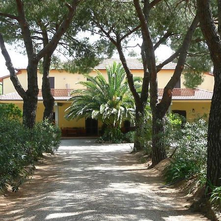 Podere Oslavia Az.Agr.Bio Giannini Alberese Exterior photo
