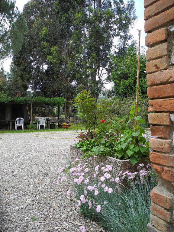 Podere Oslavia Az.Agr.Bio Giannini Alberese Exterior photo