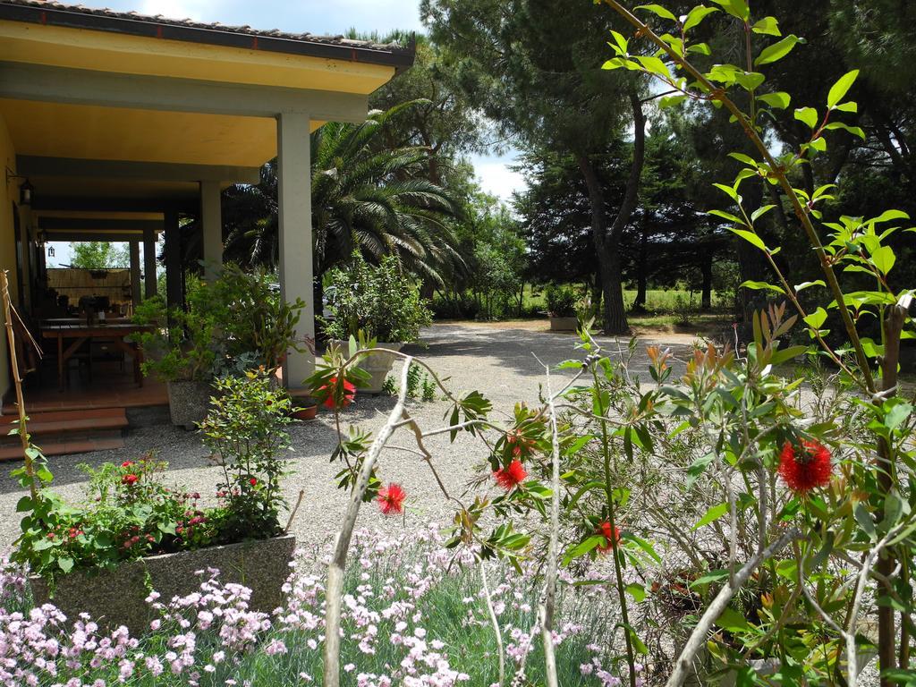 Podere Oslavia Az.Agr.Bio Giannini Alberese Exterior photo