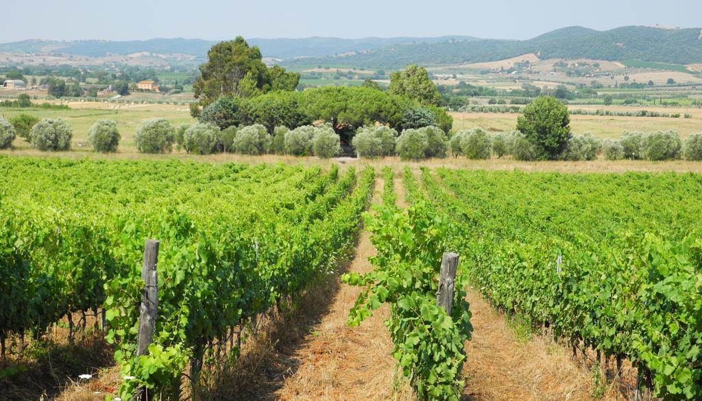 Podere Oslavia Az.Agr.Bio Giannini Alberese Exterior photo